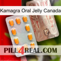 Kamagra Oral Jelly Canada new13